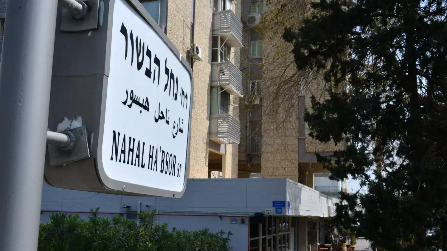 דירות עמידר ביפו, מרץ 2015