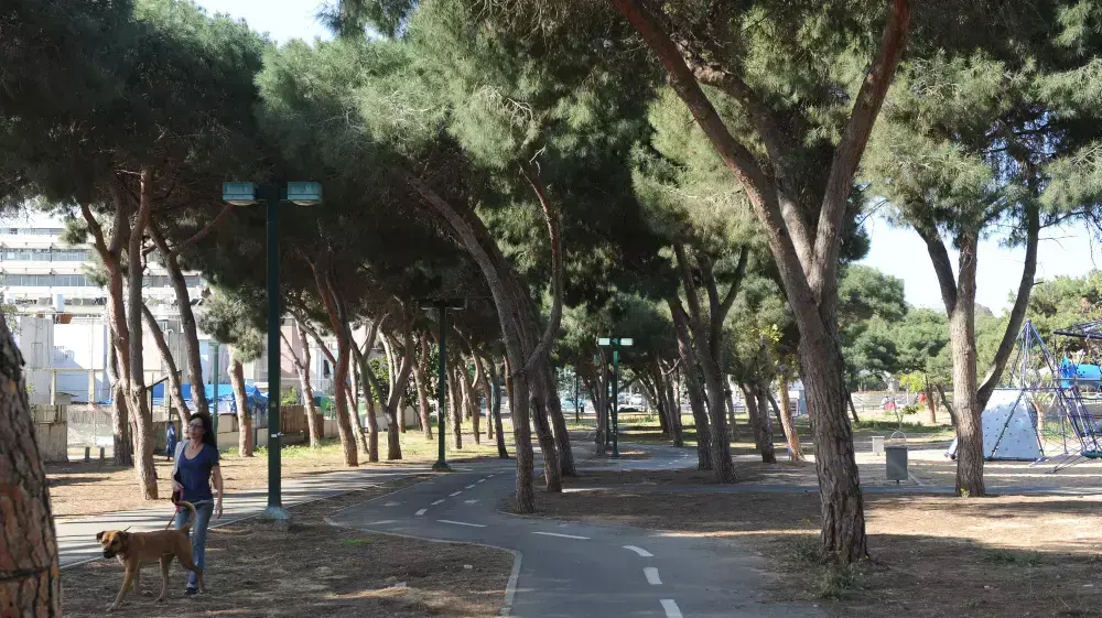 פארק החורשות בקרית שלום, דרום תל אביב מרץ 2015