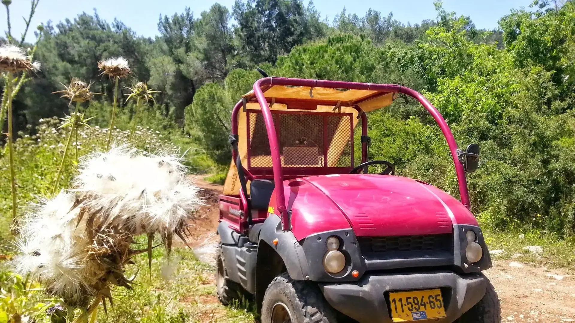 הר תבור ויער בית קשת בגליל התחתון