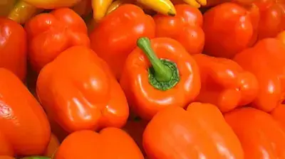 פלפלים כתומים