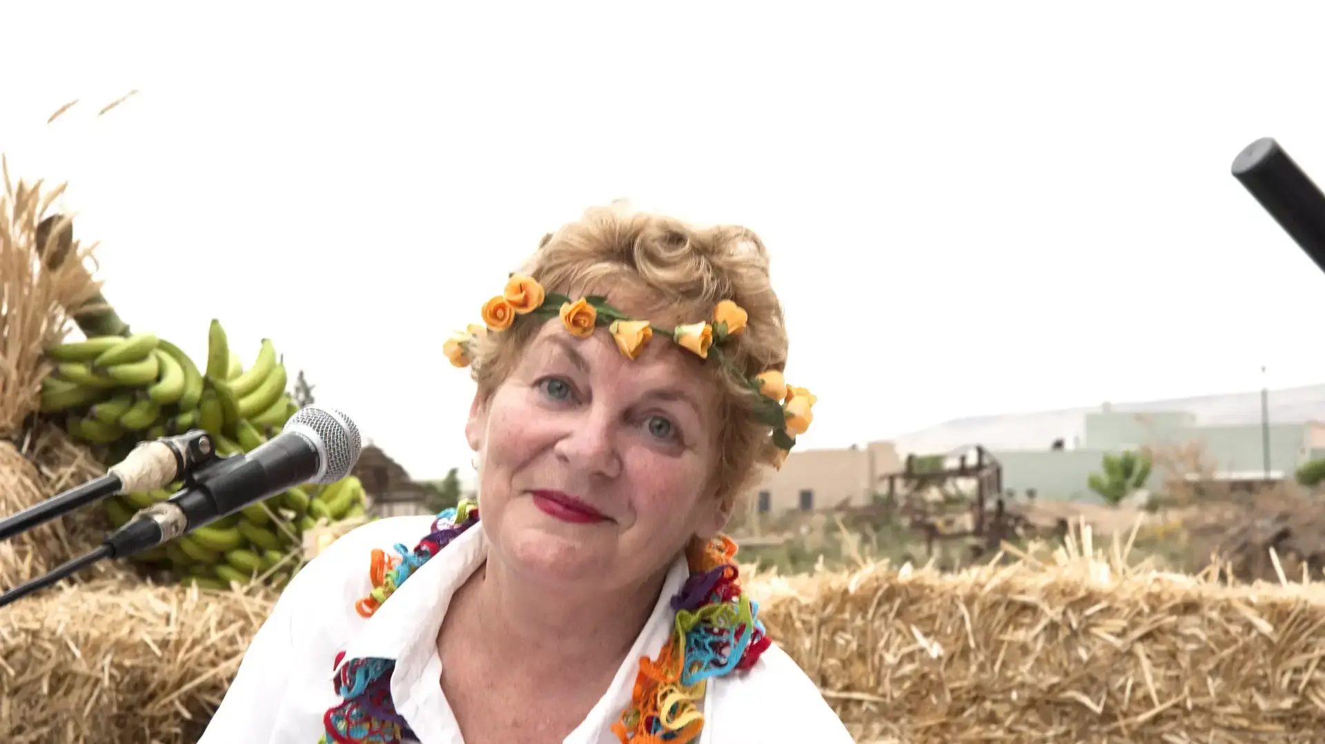 שרה'לה שרון