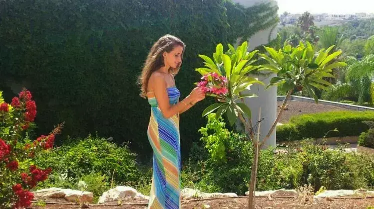 סחר אלג'לד סחר אלג'לד