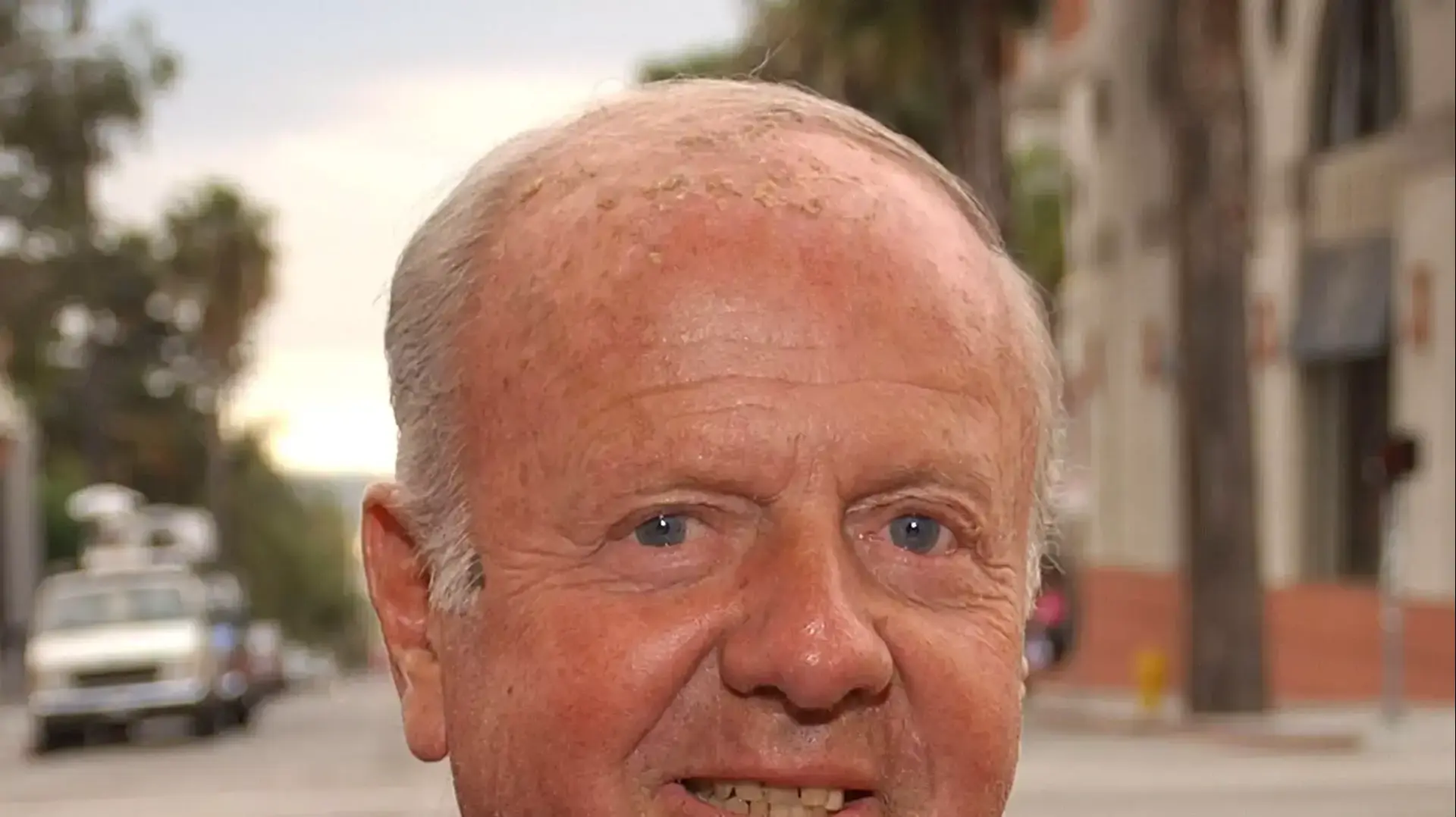 דיק ואן פטן