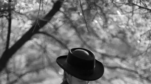 timber timbre