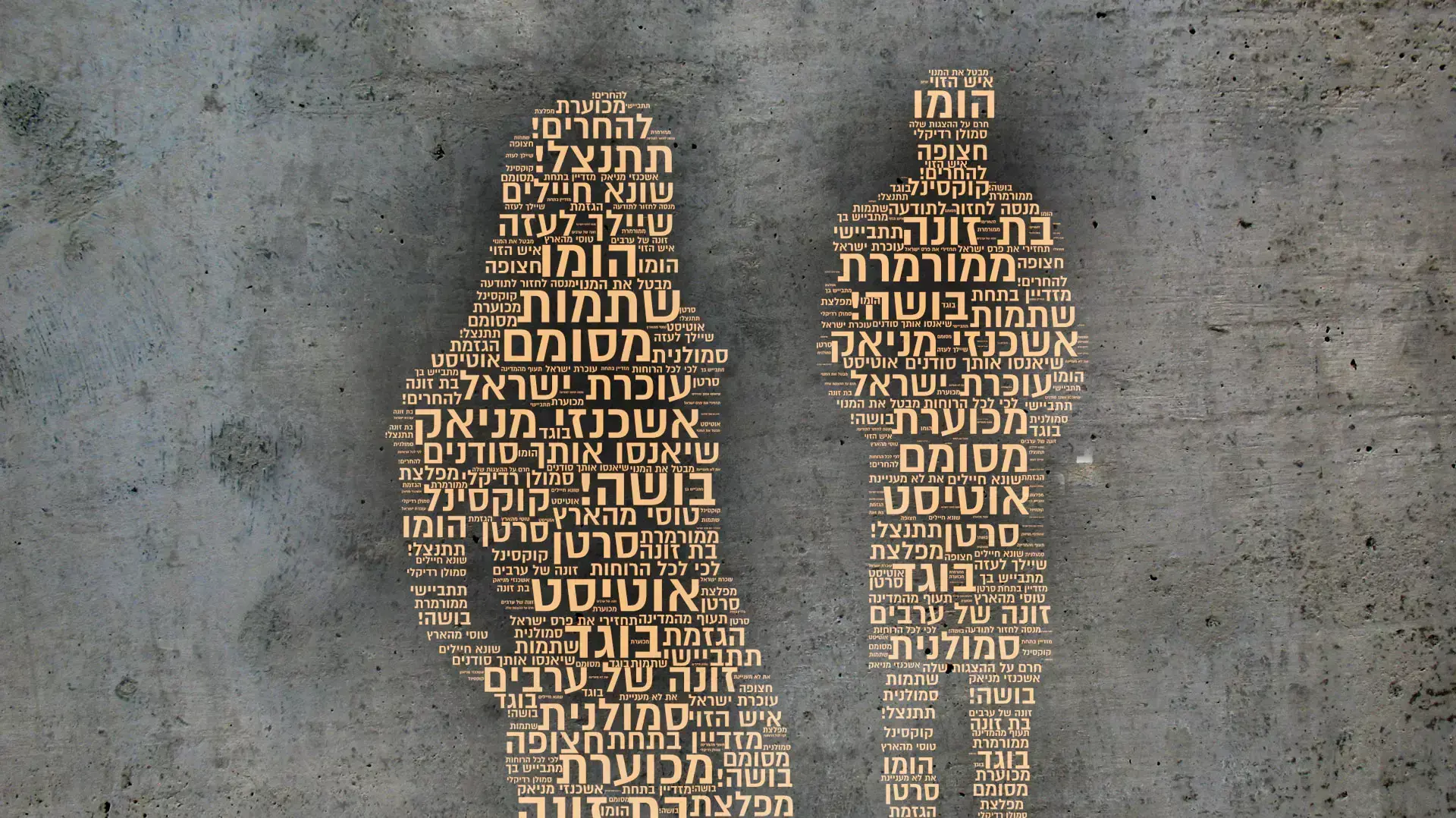 מלים קשות של השמצות, קללות ואלימות מילולית שהופיעו ברשתות חברתיות ובטוקבקים כנגד אמנים בעקבות התבטאויותיהם במבצע צוק איתן