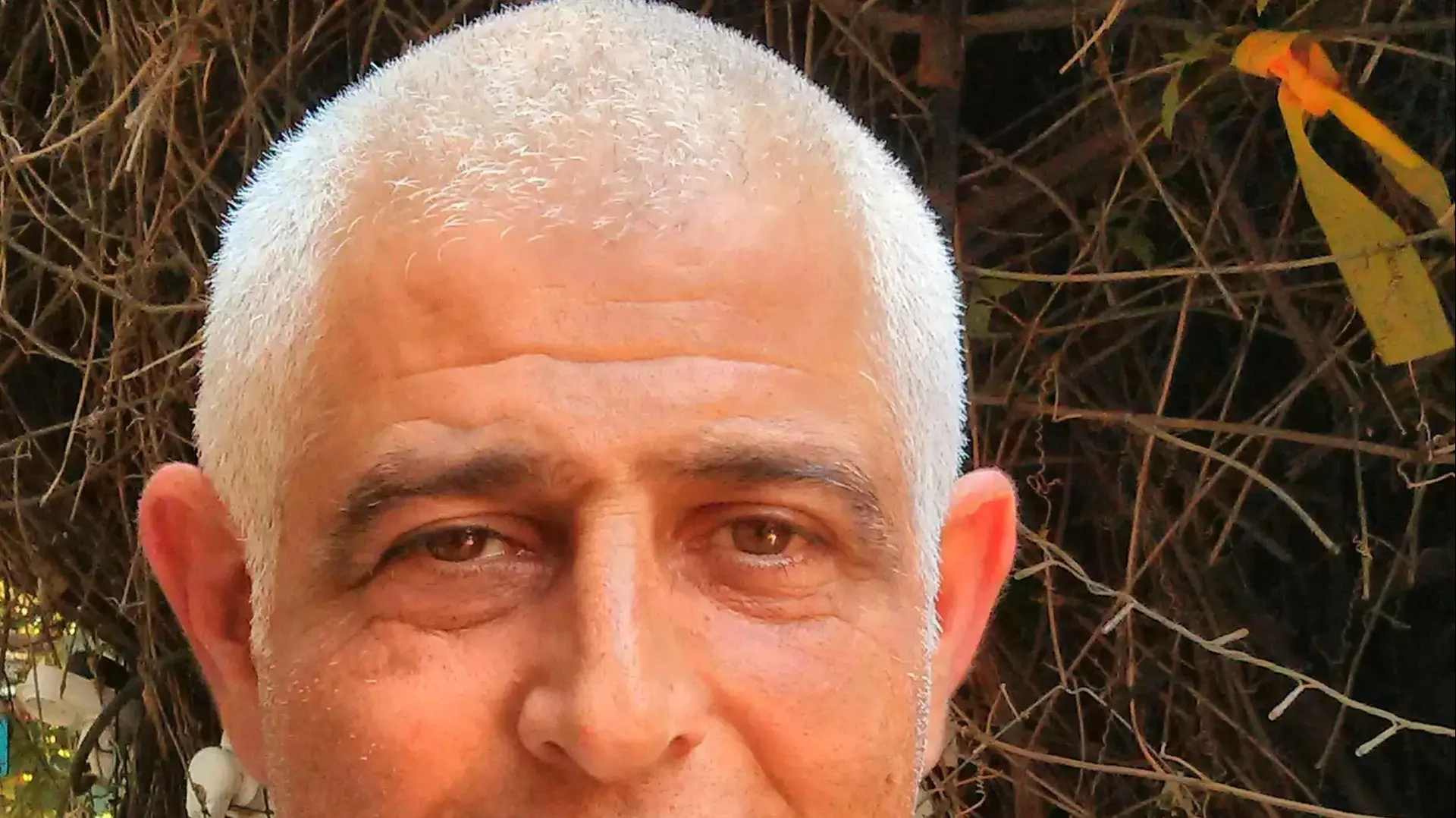 אבי סתת