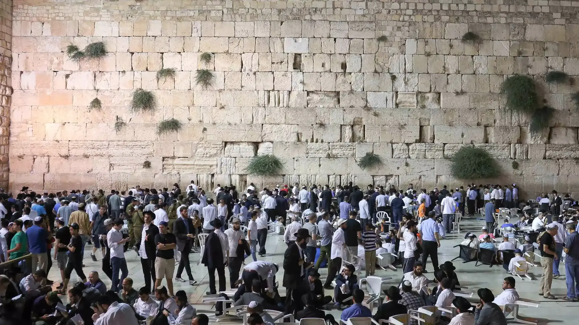 מאות מתפללים בכותל לרגל תשעה באב, יולי 2015 מאות מתפללים בכותל לרגל תשעה באב, יולי 2015
