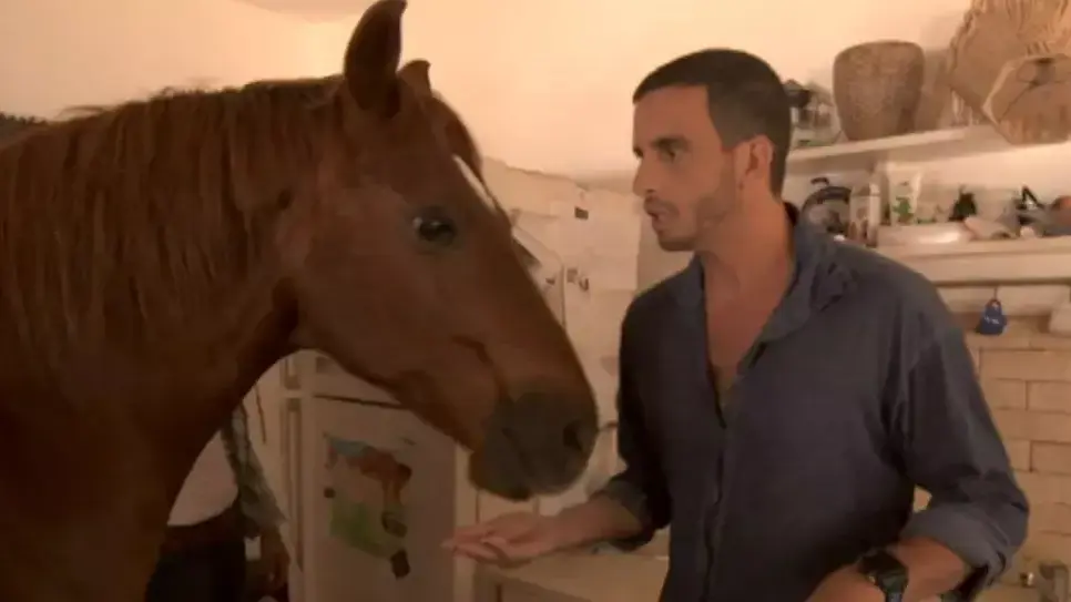 מושיק גלאמין בא לחדש