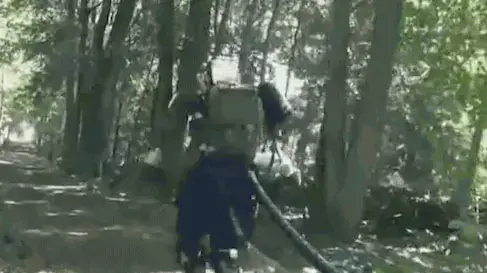 רובוט אטלס רץ ביער