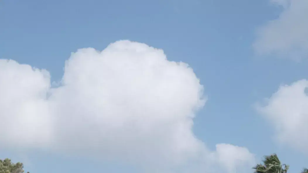 קולקציית הסתיו של דאטו