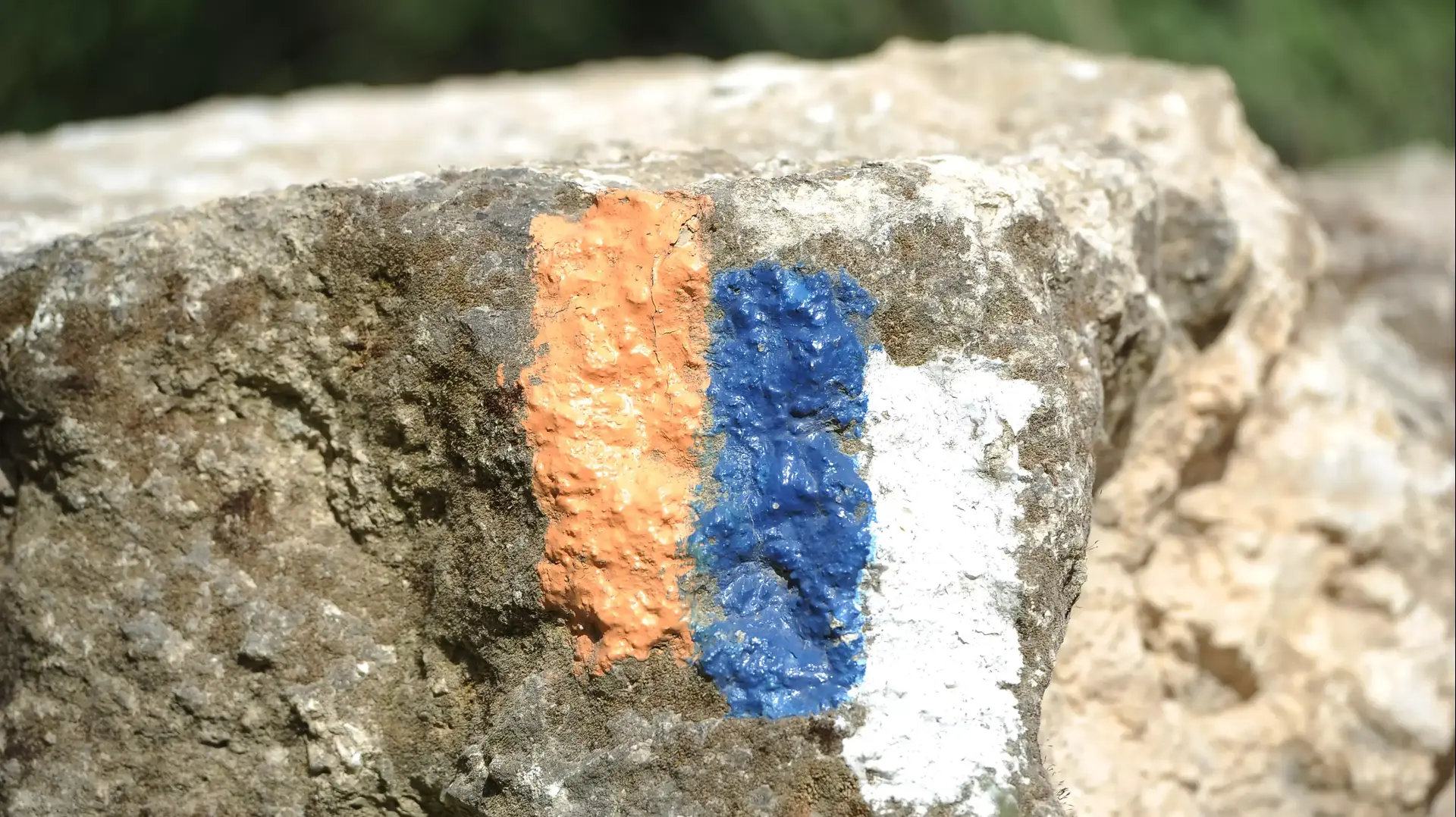 סימון שביל ישראל בשמורת המסרק