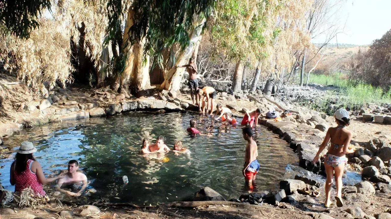 מעיין עין אמפי עין איקליפטוס ברמת הגולן
