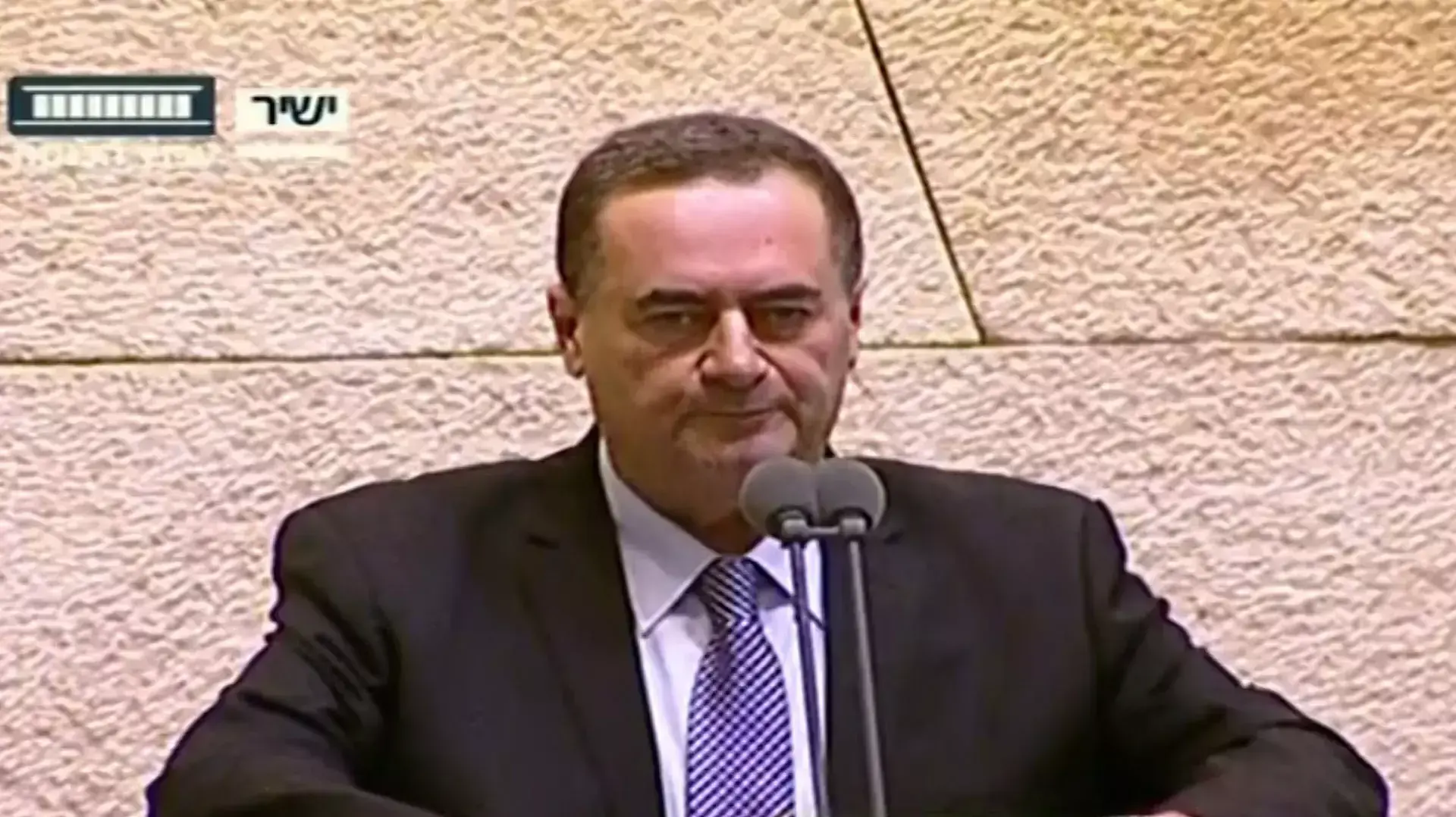 השר ישראל כץ בכנסת, דצמבר 2015