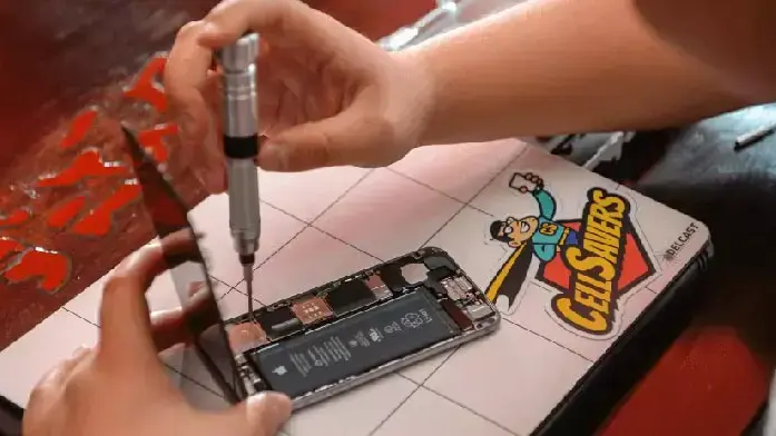 סלסרברס