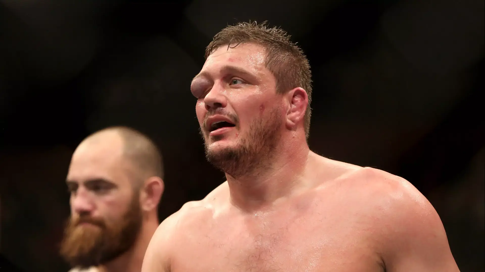 מאט מיטריון לוחם UFC