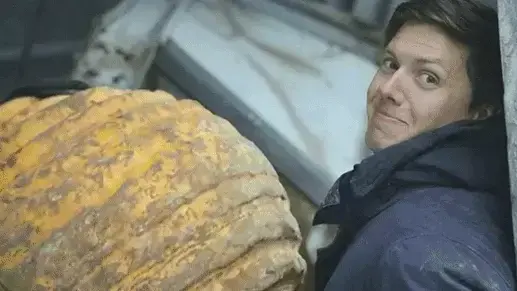 אנדראס וואל כדור הריסה
