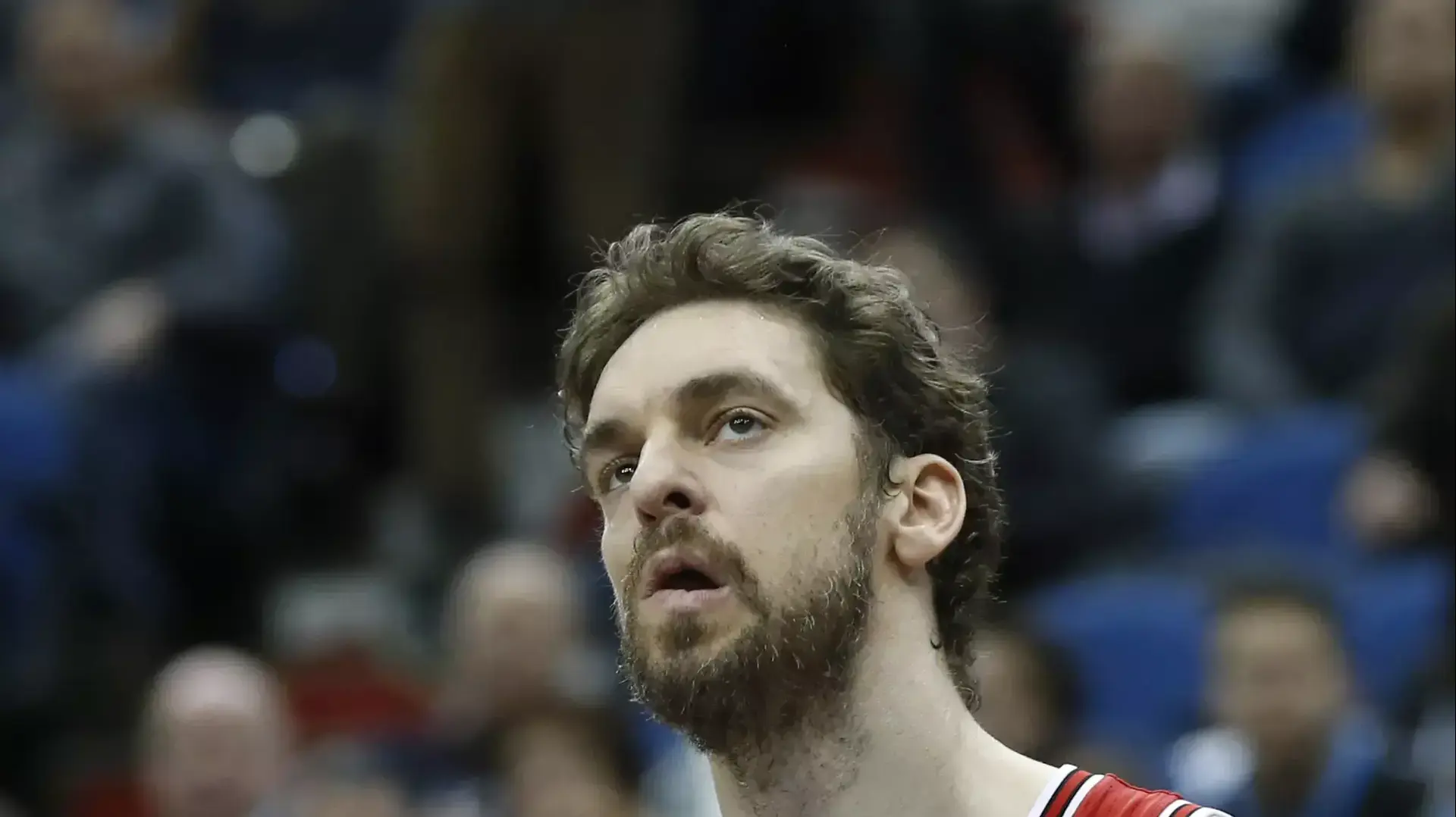 סנטר שיקגו בולס פאו גאסול מאוכזב
