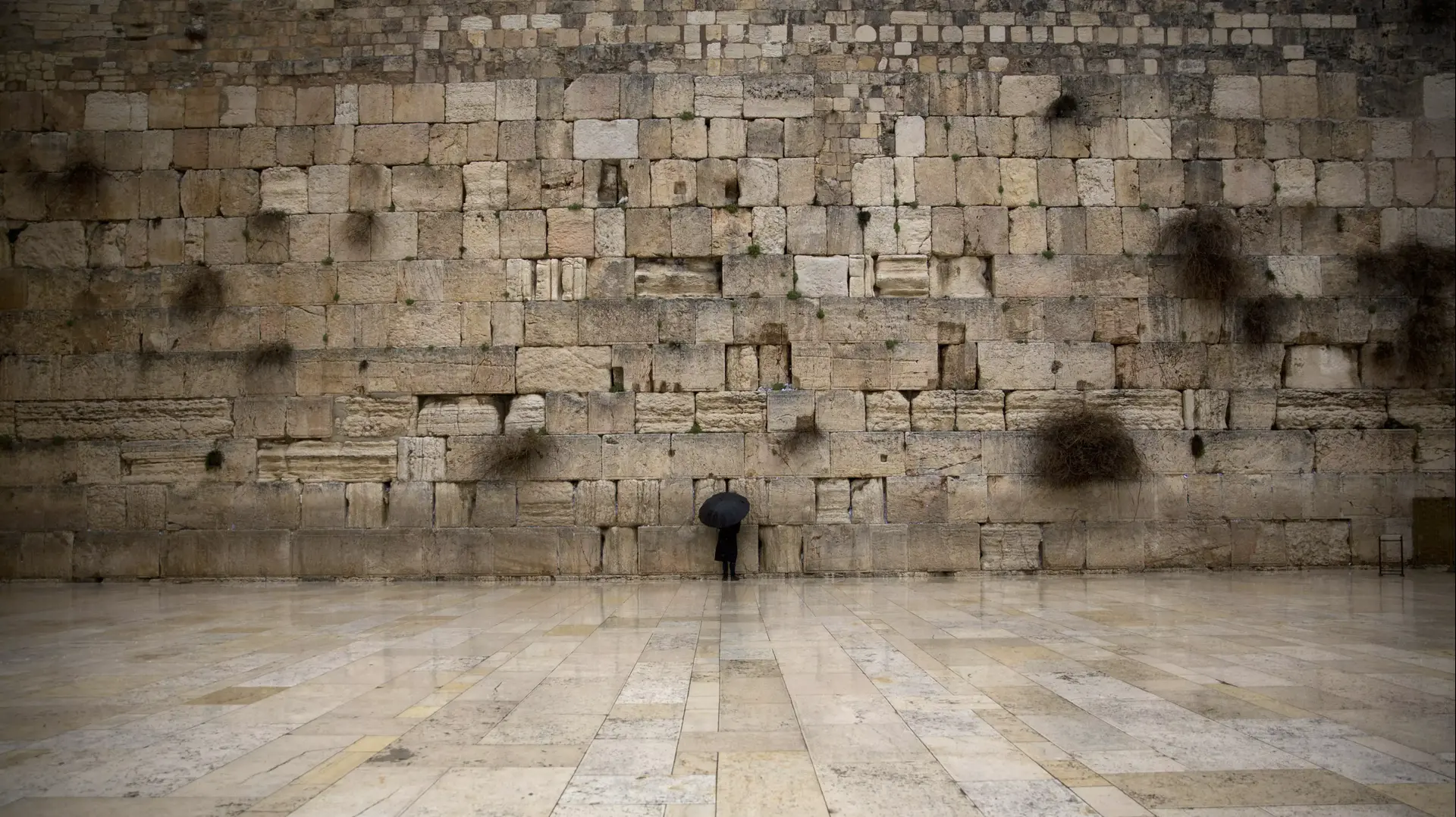 רחבת הכותל המערבי, ירושלים. פברואר 2016