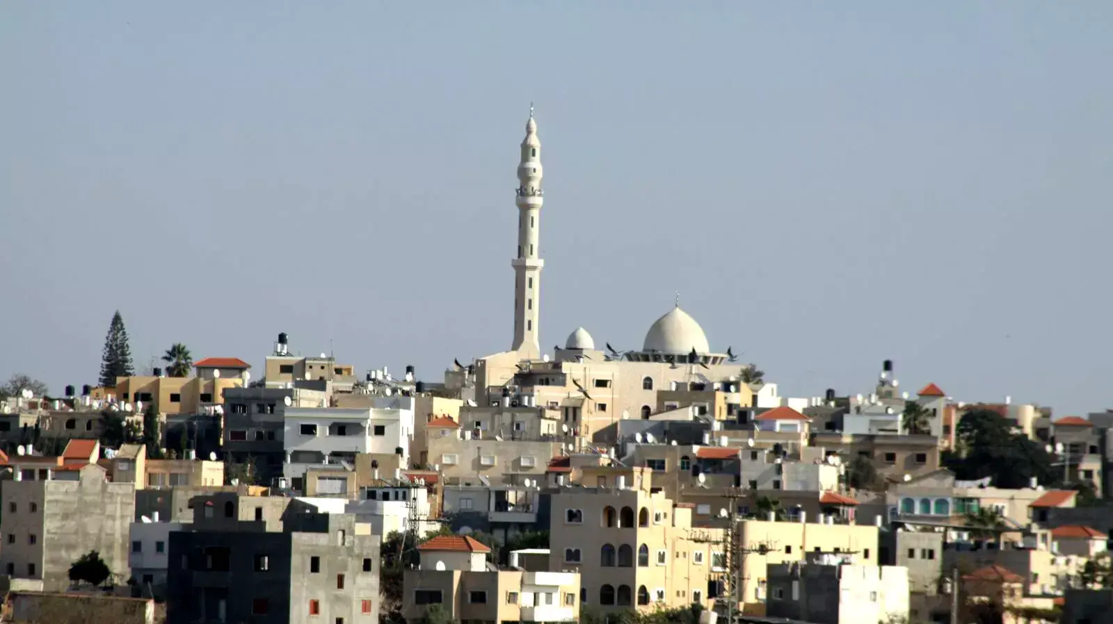 ג'יסר א-זרקא