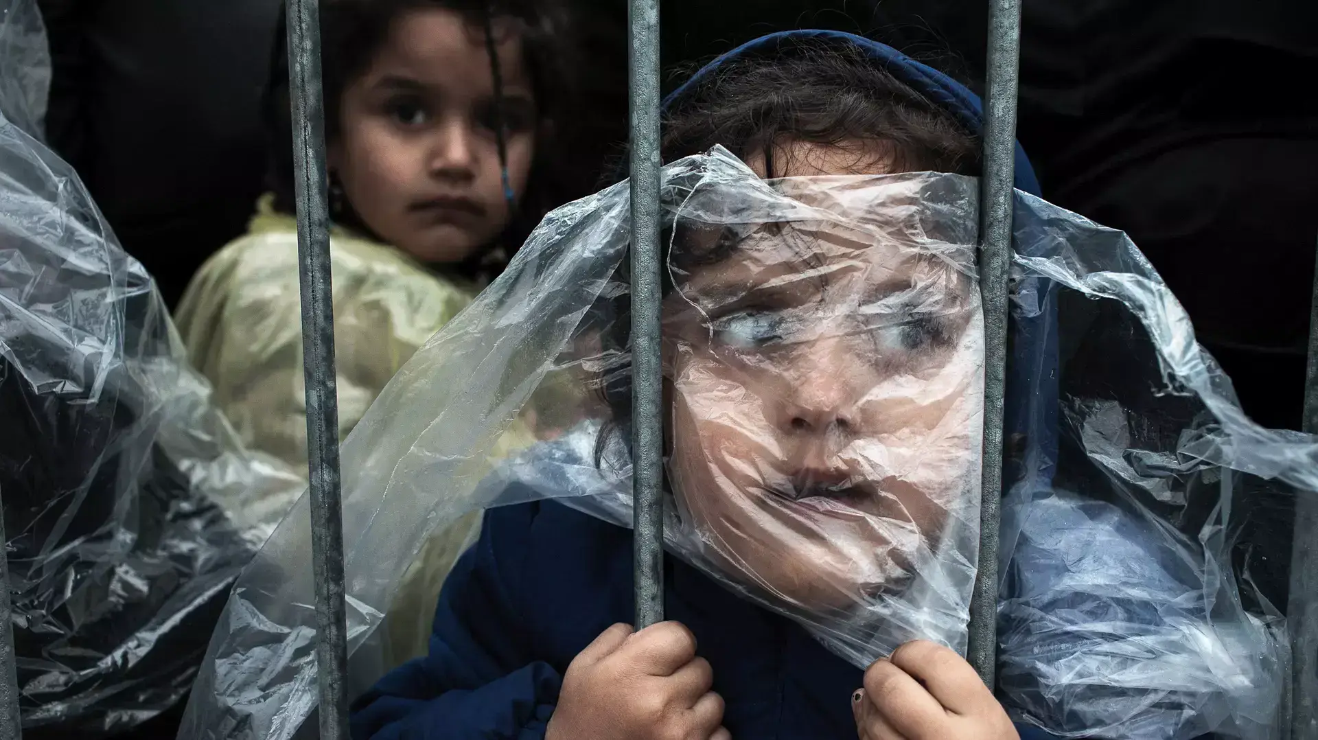 World Press Photo 2016
