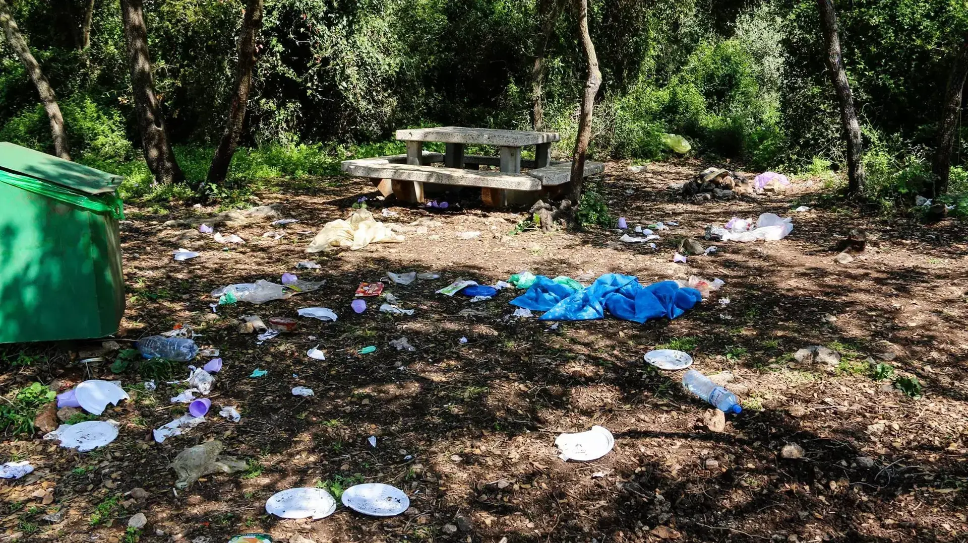 הישראלי המכוער מטנף את חניון רקית וקוטף פרחים ביערות הכרמל