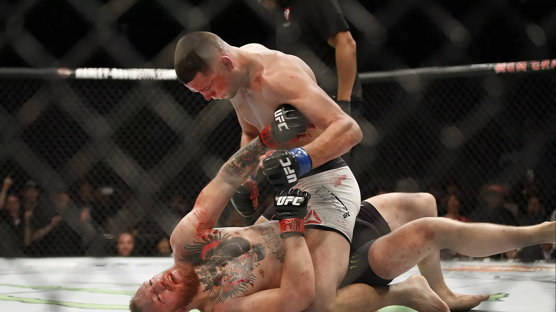נייט דיאז, קונור מקגרגור, לוחמי MMA