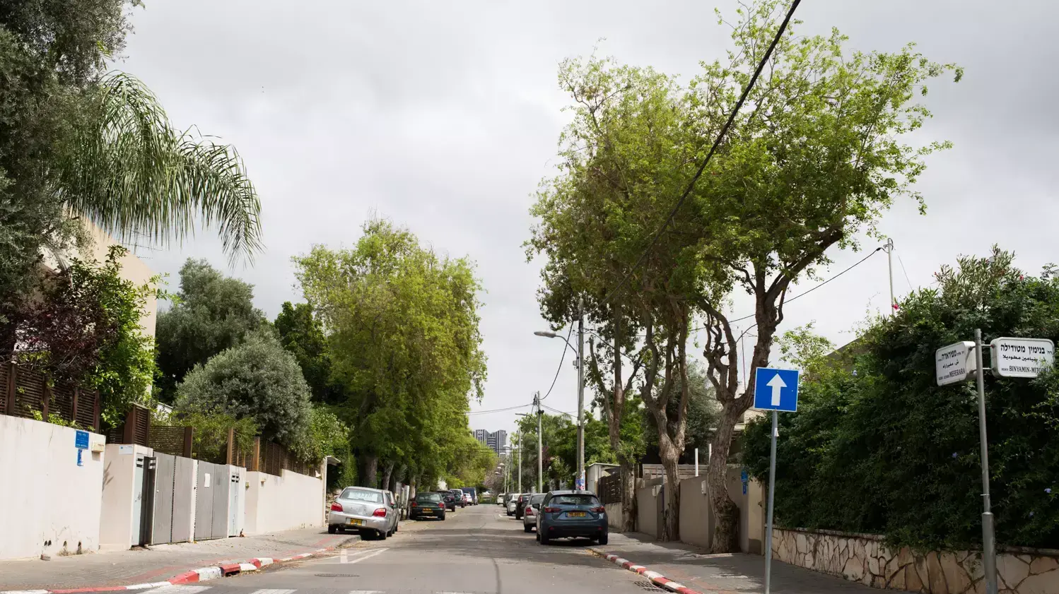 רחוב אליהו מיפררה