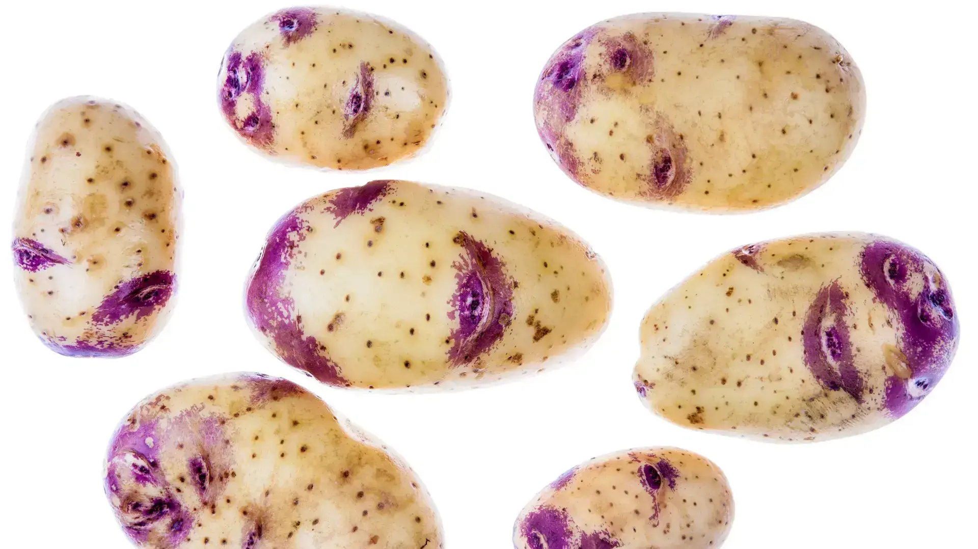 תפוחי אדמה