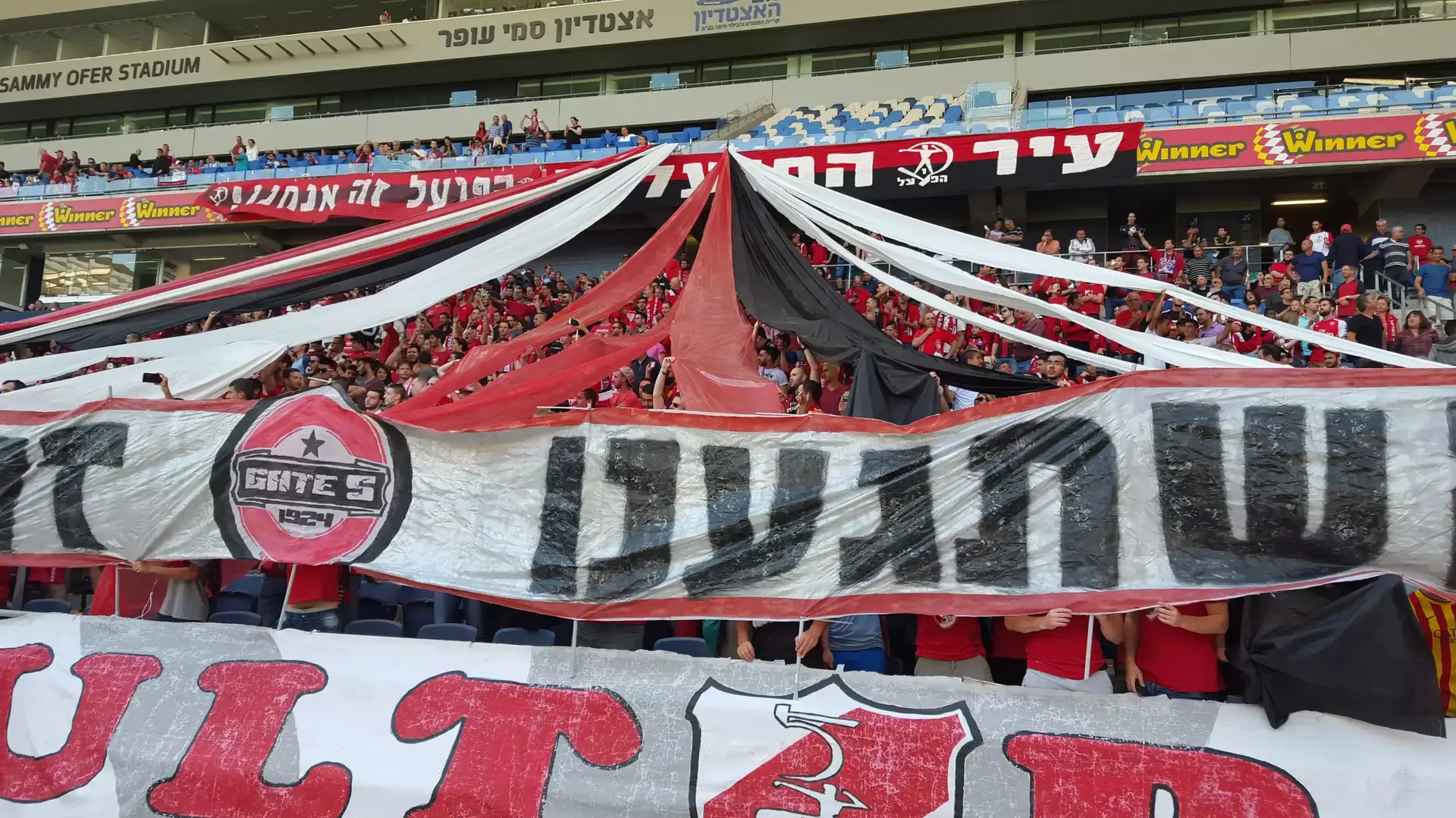 אוהדי מ.ס רובי שפירא