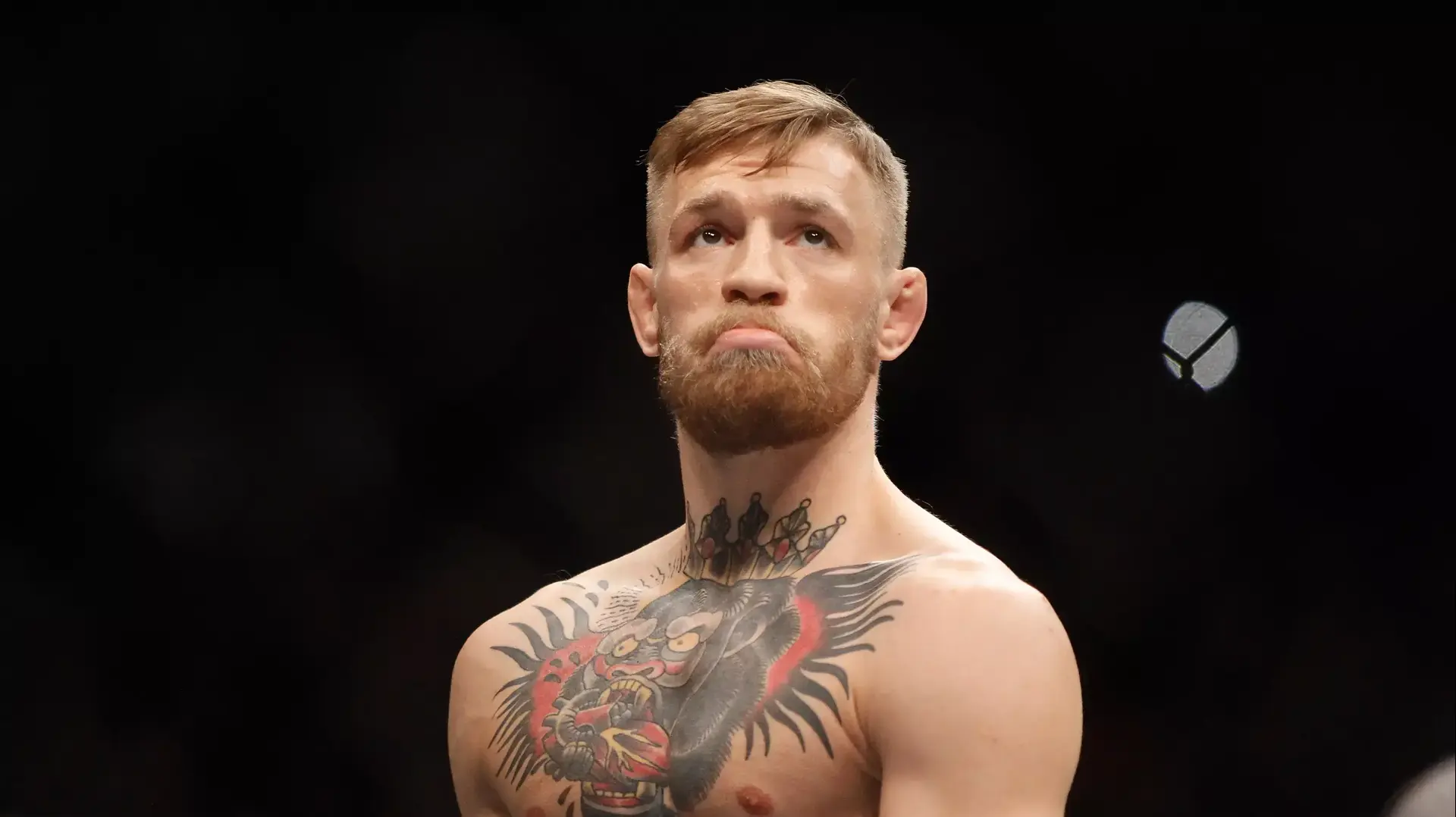 קונור מקגרגור לוחם MMA אירי