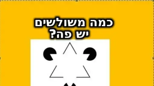 חידון פלייבאז צורות אישיות