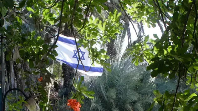 נחל האסי בקיבוץ ניר דוד תל עמל, מאי 2016