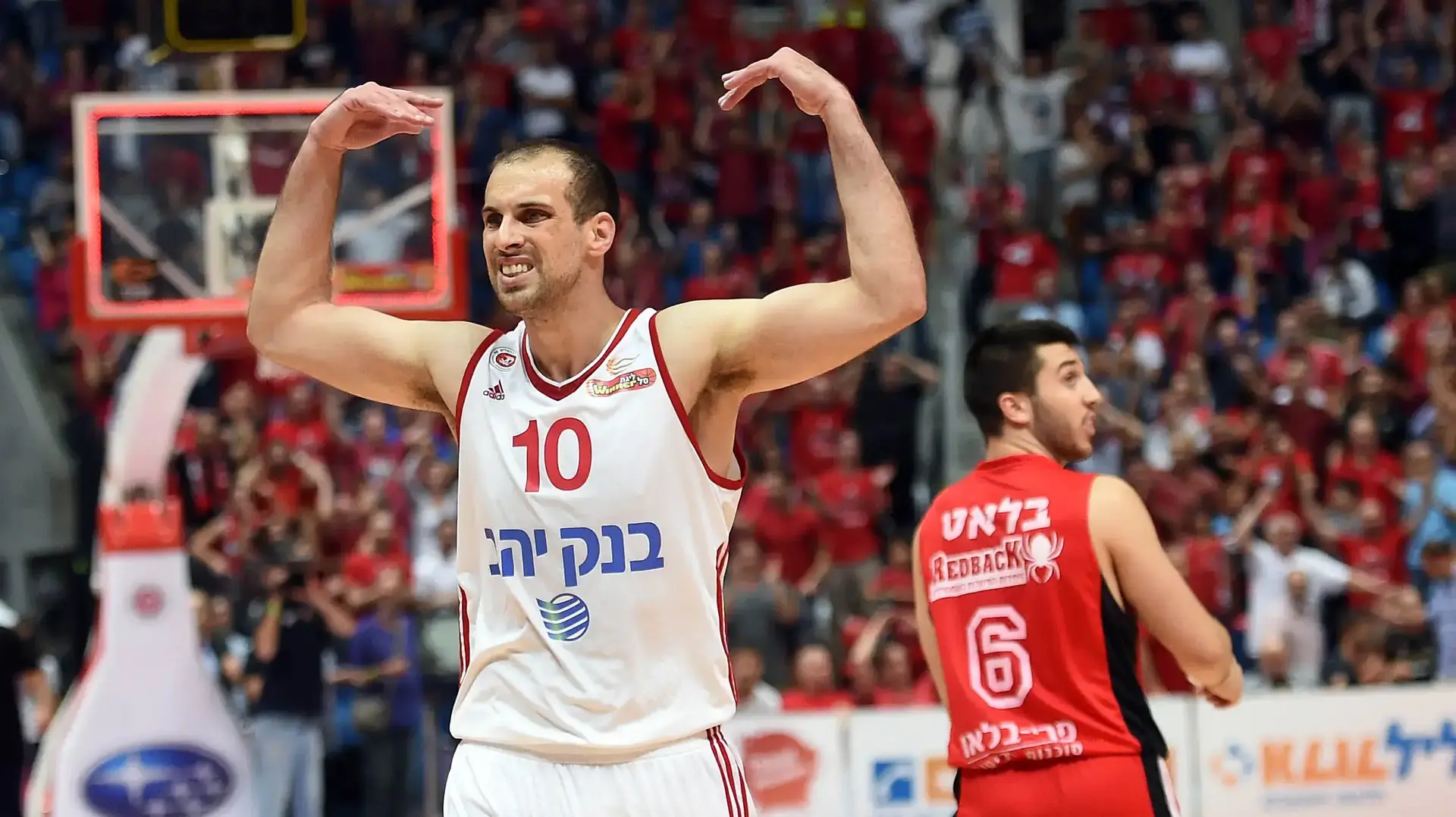 יותם הלפרין הפועל ירושלים