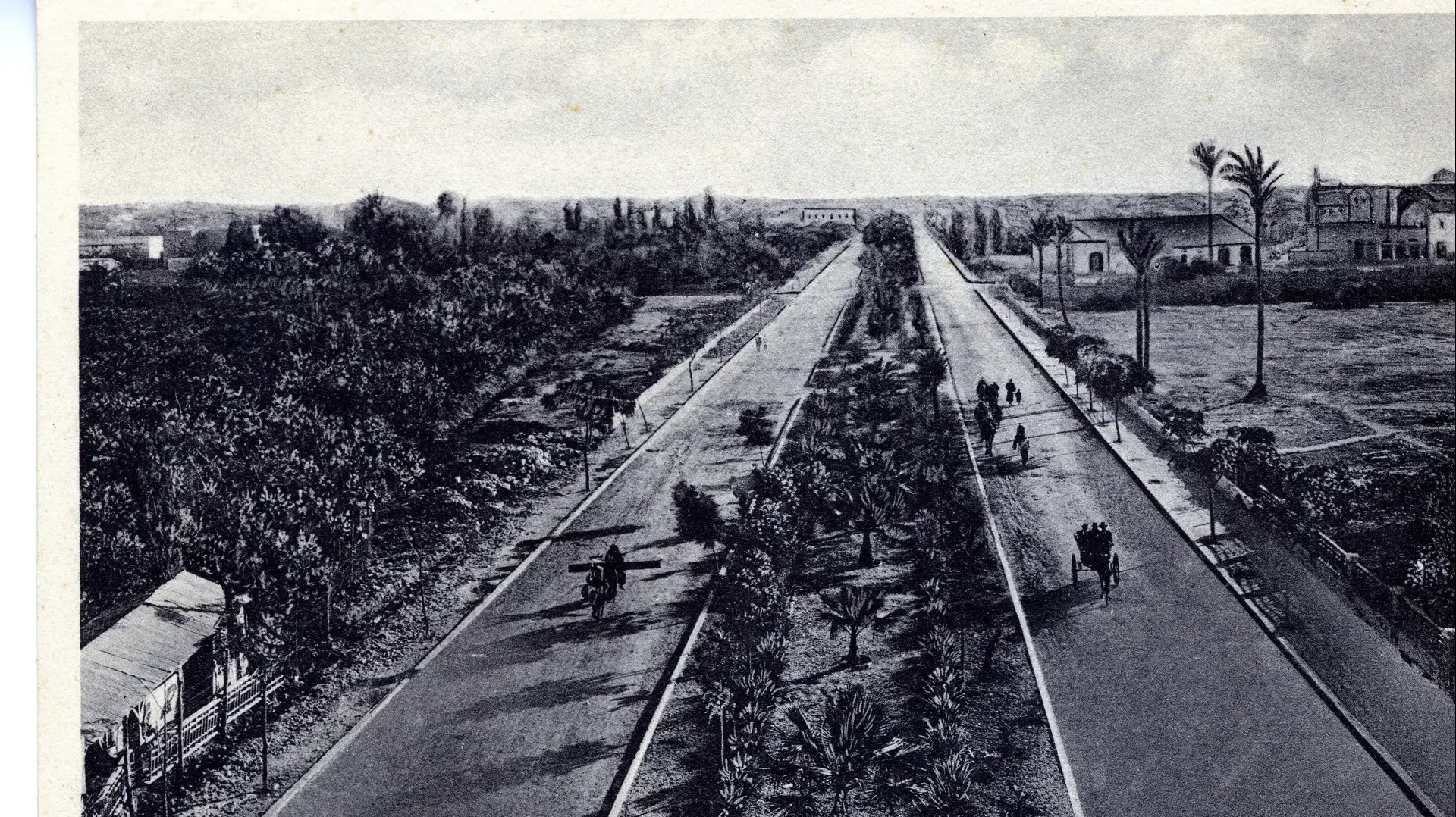 שדרות ירושלים ביפו ארכיון