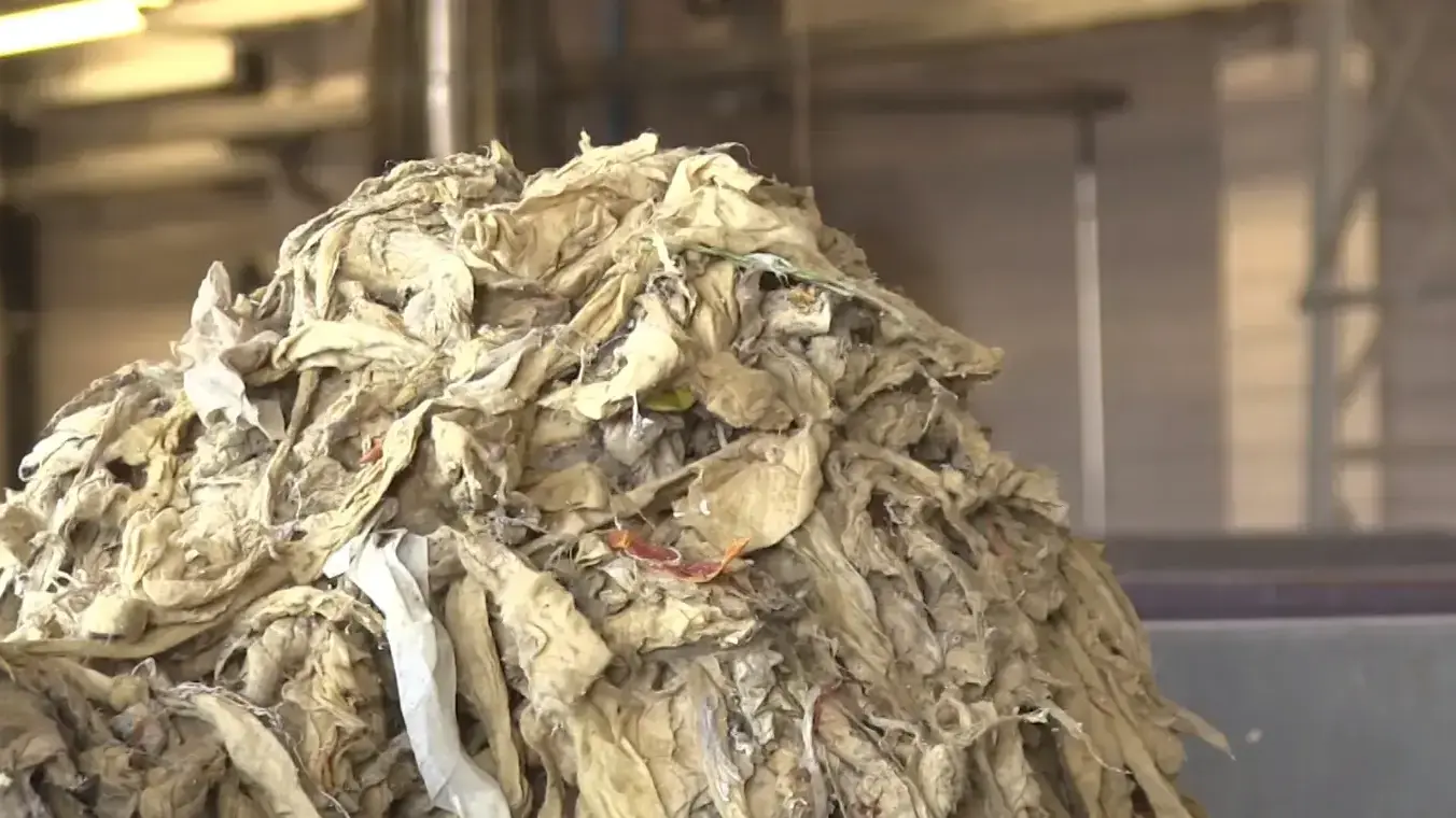 פסולת במפעל שפד"ן