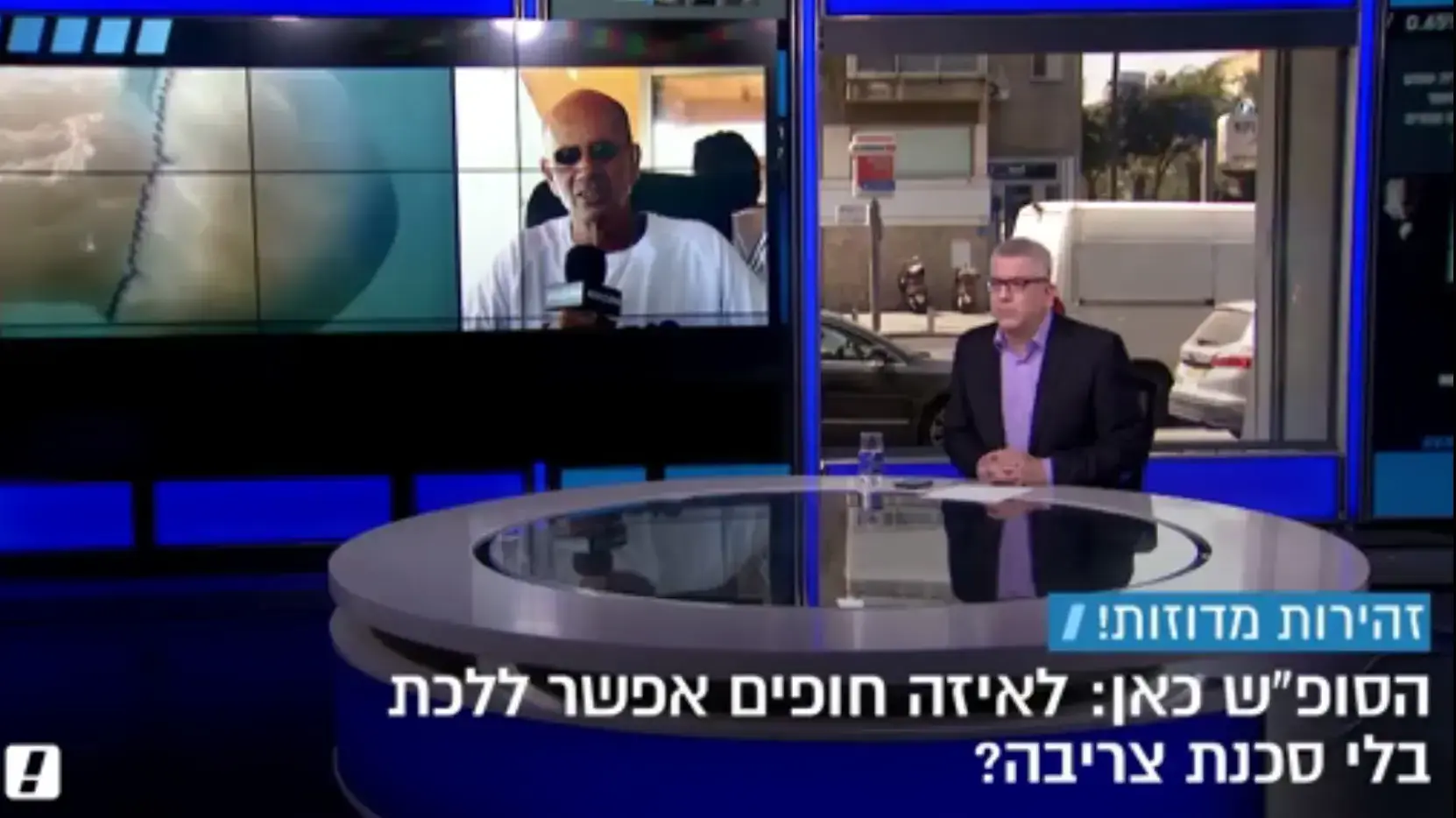 ד"ר הדס לובינצקי ועופר כ"ץ מחוף בת גלים בחיפה על המדוזות בחופי הארץ - גרסה עדכנית
