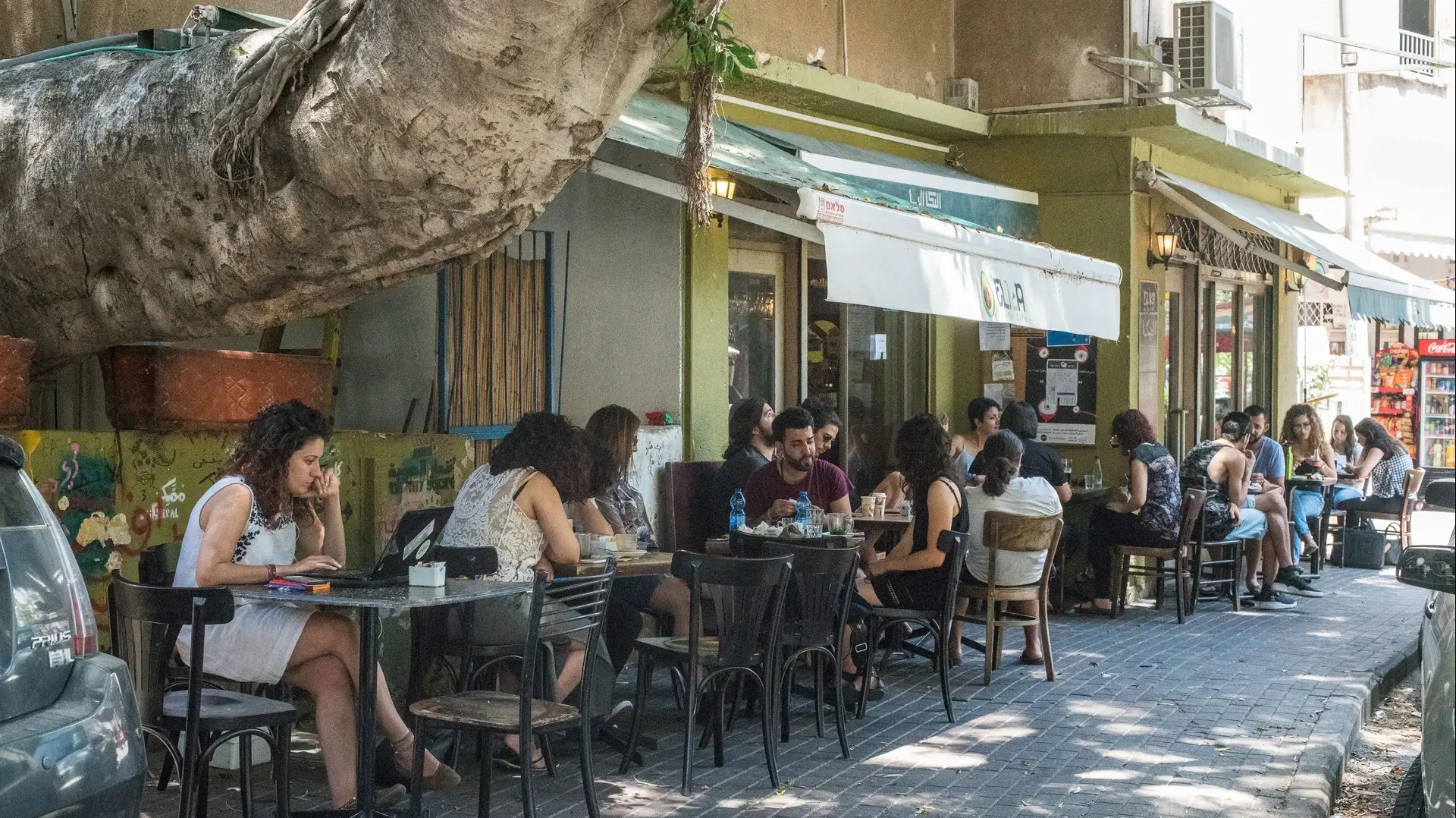 ביקור שכונה הדר חיפה