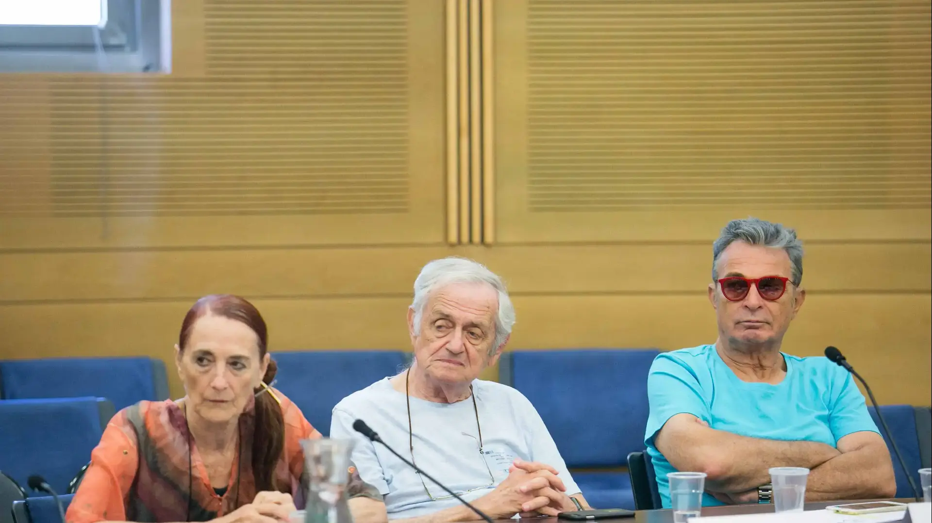 ננסי ברנדס, אילן דר ורנה שיינפלד בדיון בוועדת חינוך ותרבות של הכנסת על קשיי אמנים וותיקים