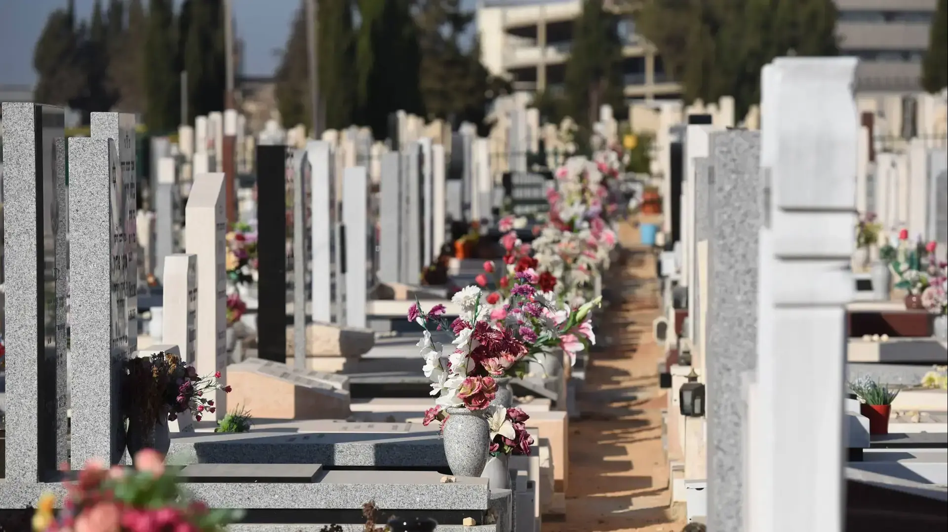 בית העלמין סגולה, פתח תקווה. יולי 2016