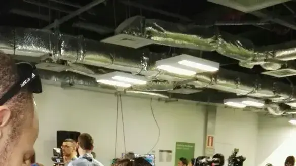 אליס שלזינגר ג'ודוקא בריטית