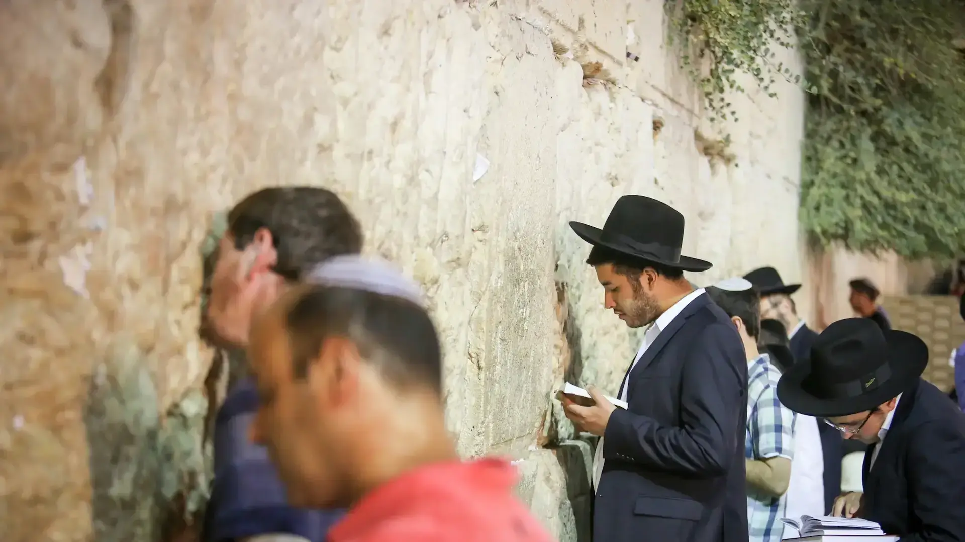 מתפללים בכותל המערבי ב-ט' באב, ירושלים, 13 באוגוסט 2016