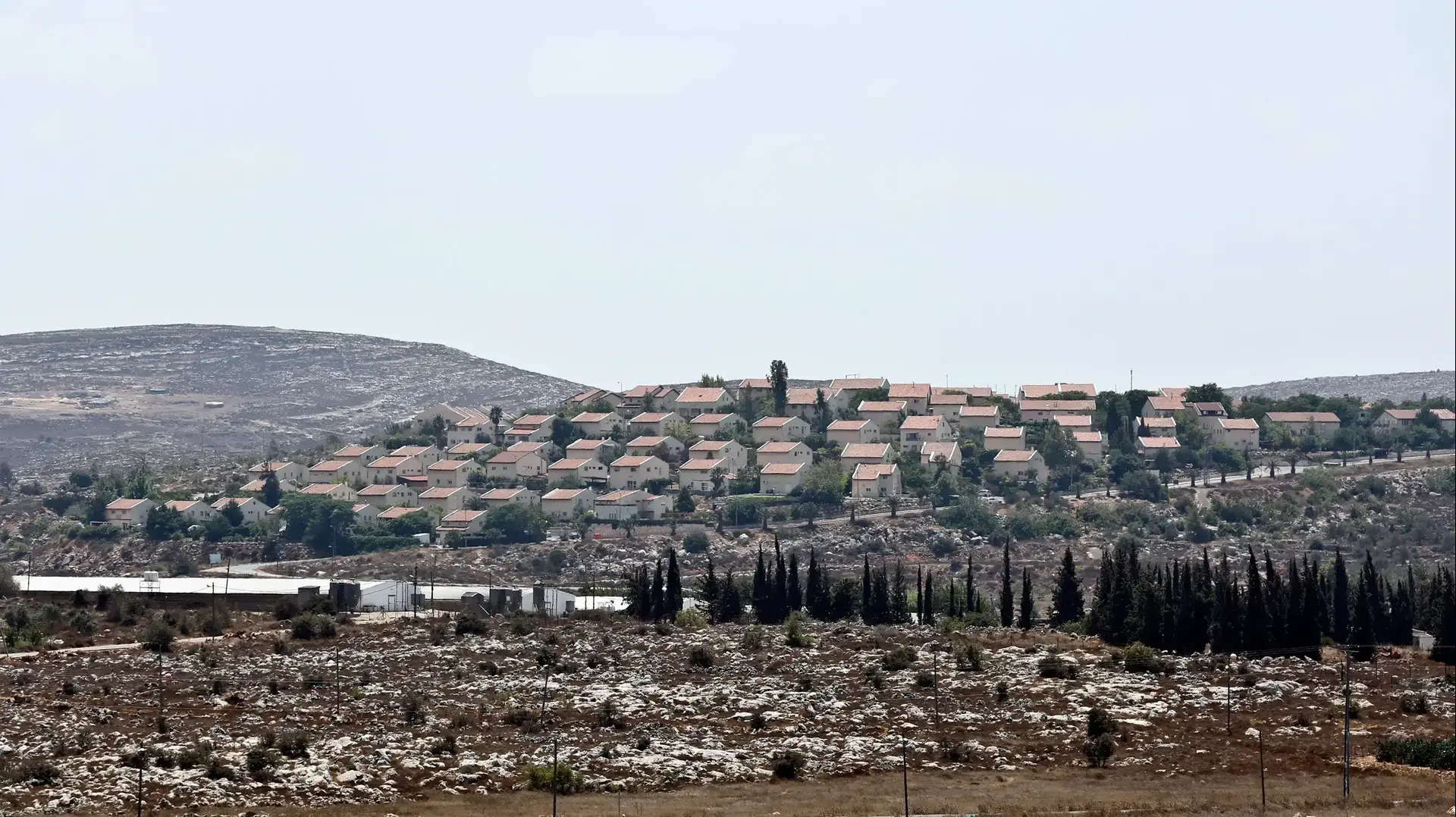 קרקעות בעמונה, אוגוסט 2016