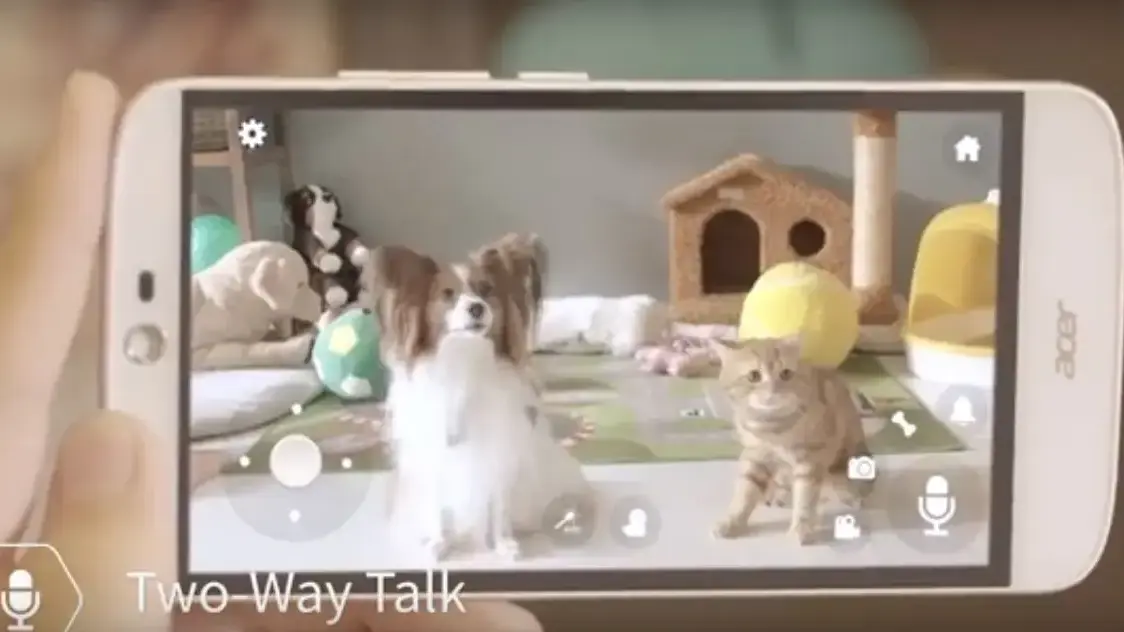 סיפור בדקה המצלמה החדשה של אייסר תאפשר לכם לשחק עם החתול