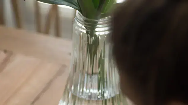 ארוחת החג אצל שי לי ליפא