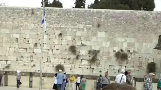 חיים של אבא
