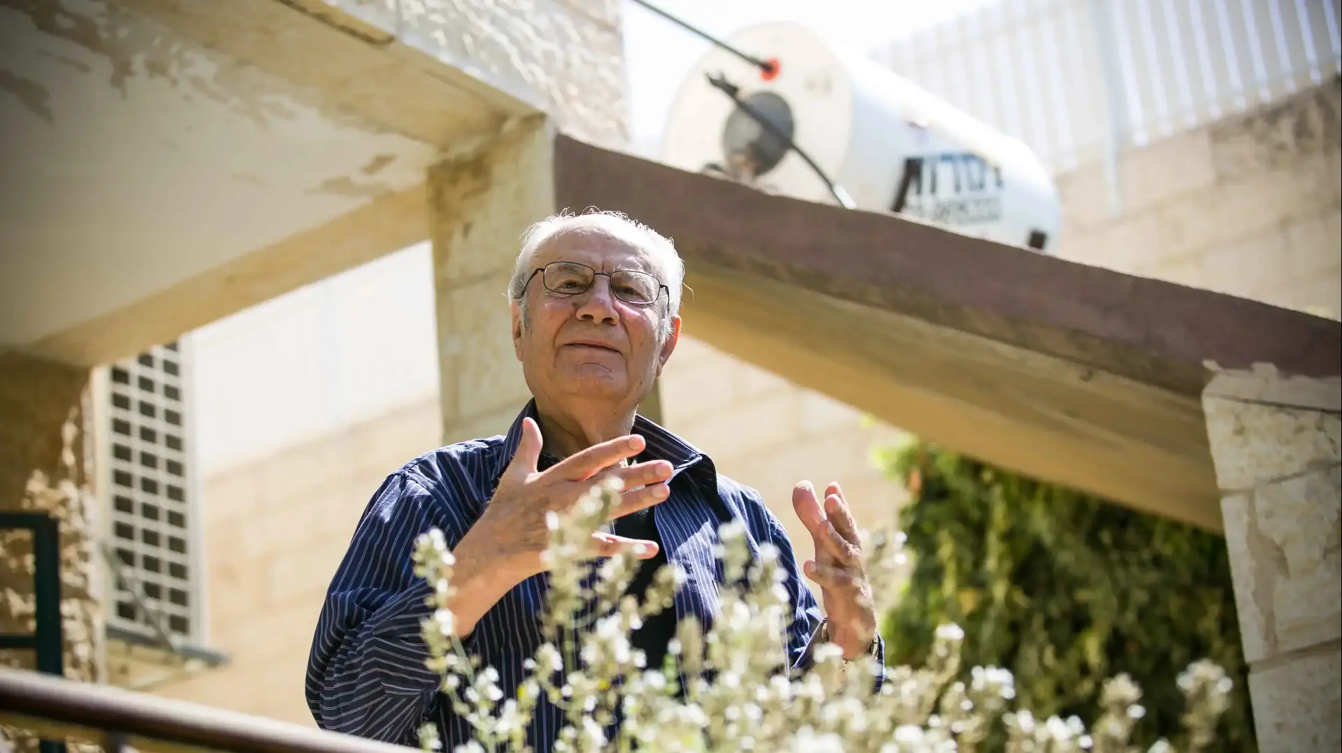 אלי עמיר