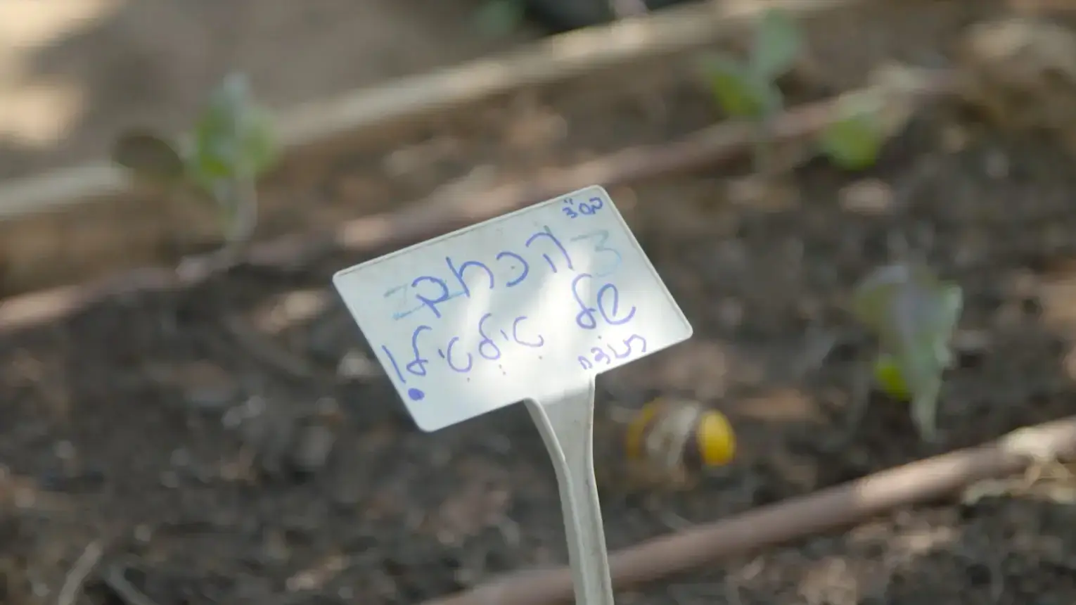 שבת שוויום פרק 6 שבת שוויום פרק 6