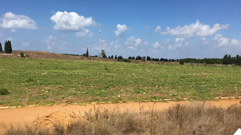 הרחבת כביש 4