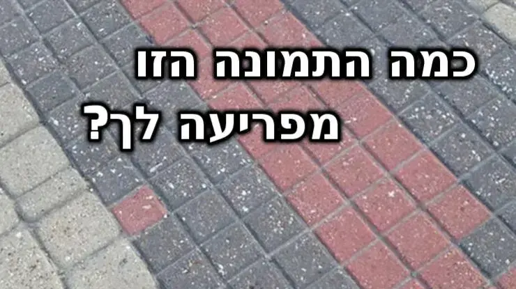 חידון פלייבאז OCD