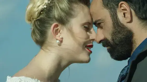 מיומנו של צלם חתונות